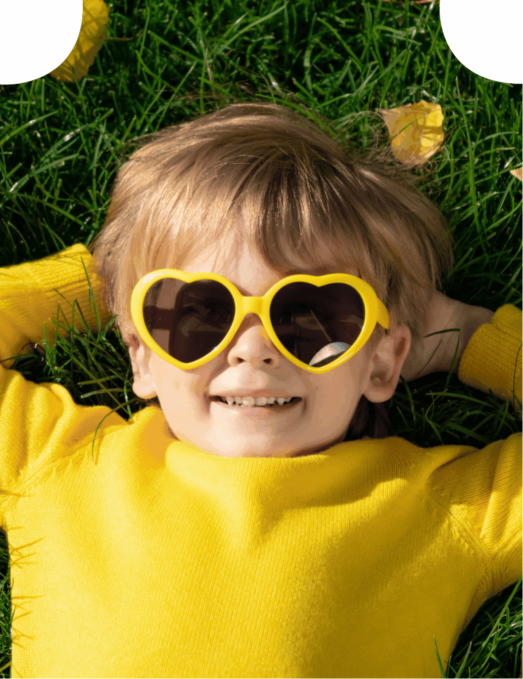 Rowtree Dental Care
