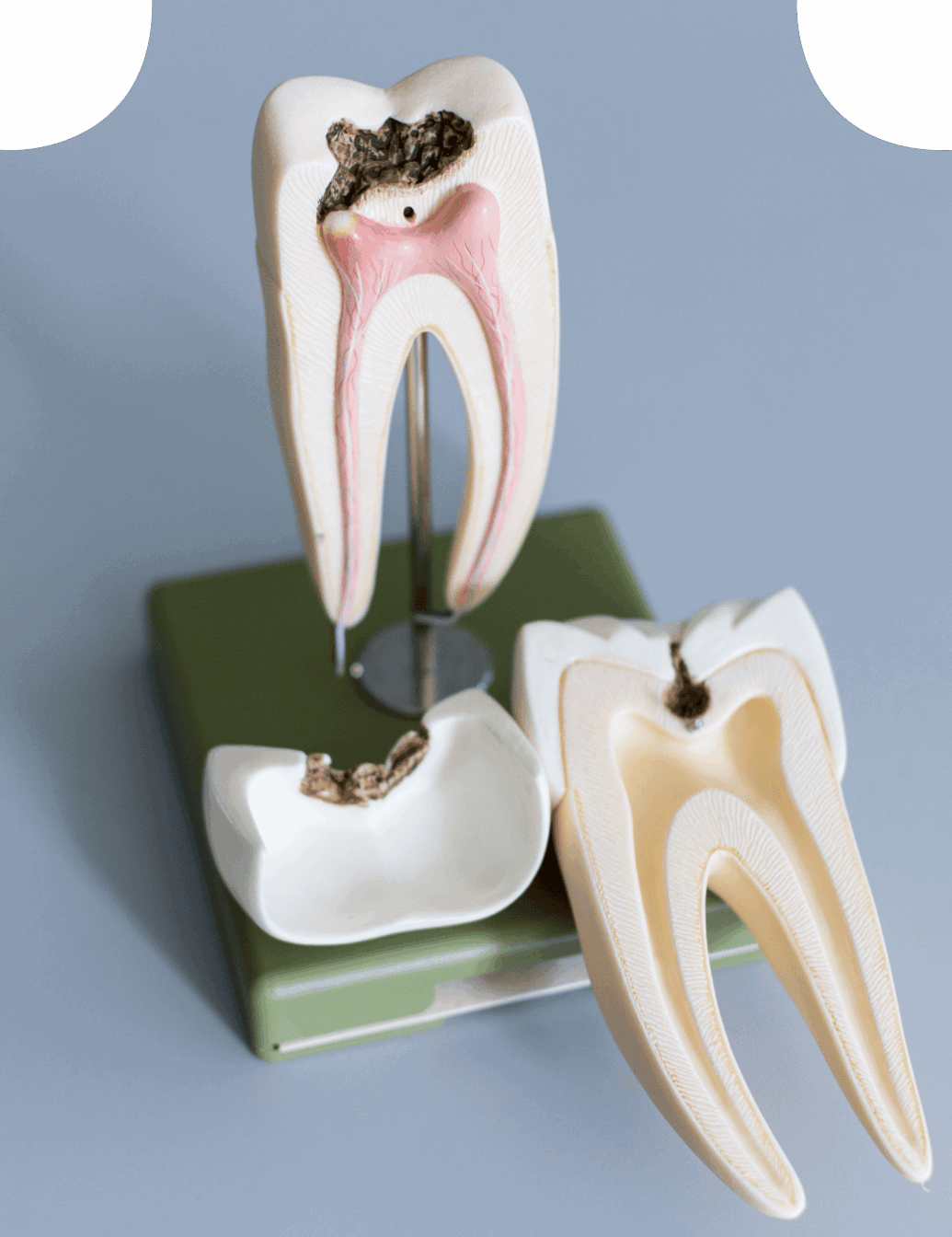 Rowtree Dental Care