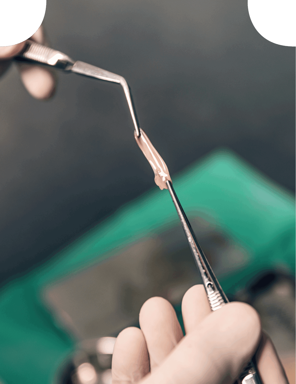 Rowtree Dental Care